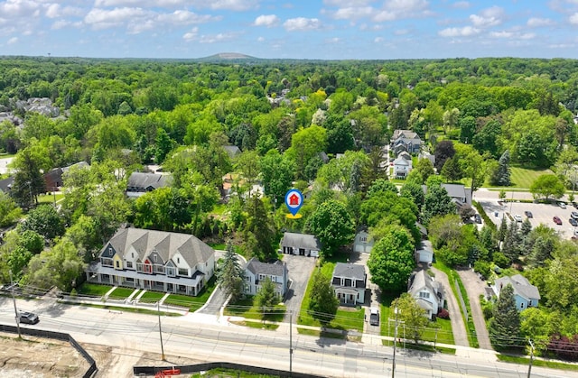 248 S Center St, Northville, MI 48167 - photo 4