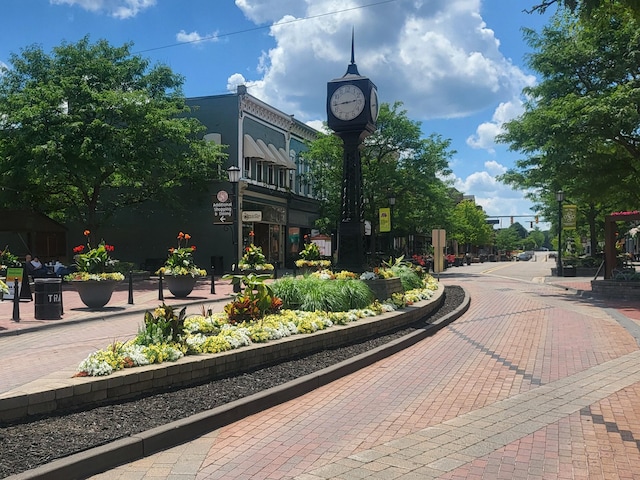 248 S Center St, Northville, MI 48167 - photo 25