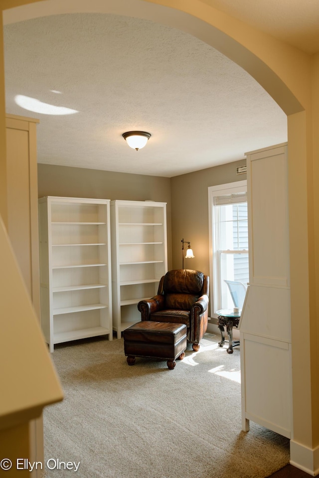 16894 Arbor Way Dr, Nunica, MI 49448 - sitting room featuring arched walkways and carpet