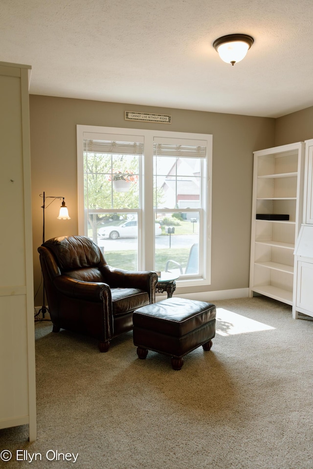 16894 Arbor Way Dr, Nunica, MI 49448 - sitting room with carpet floors and healthy amount of natural light