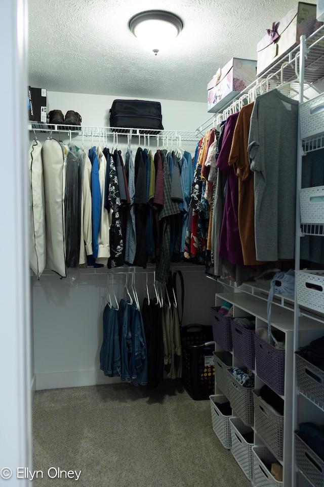 16894 Arbor Way Dr, Nunica, MI 49448 - spacious closet featuring carpet flooring