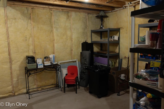 16894 Arbor Way Dr, Nunica, MI 49448 - view of unfinished basement