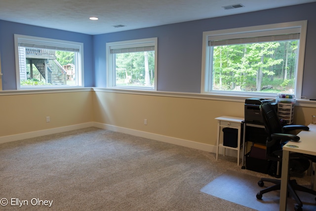 16894 Arbor Way Dr, Nunica, MI 49448 - unfurnished office featuring healthy amount of natural light, baseboards, carpet flooring, and recessed lighting