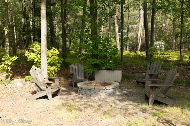 16894 Arbor Way Dr, Nunica, MI 49448 - view of yard with an outdoor fire pit