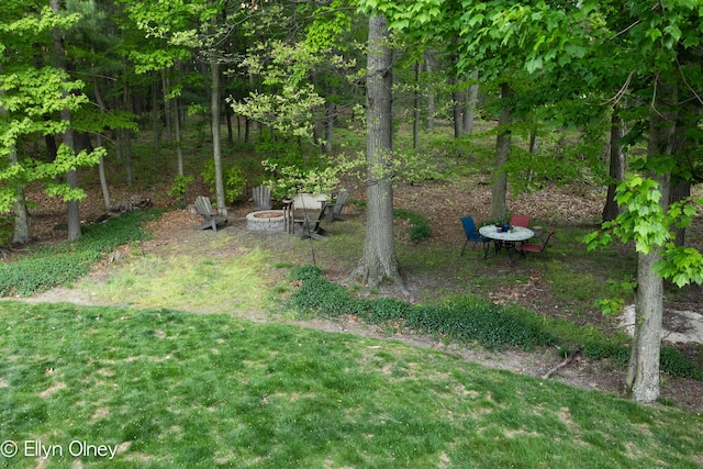 16894 Arbor Way Dr, Nunica, MI 49448 - view of green lawn