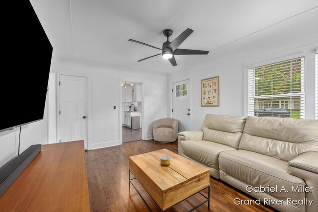 living room featuring healthy amount of natural light, a ceiling fan, and dark wood-style floors