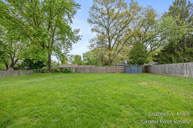 view of yard with a shed and an outbuilding