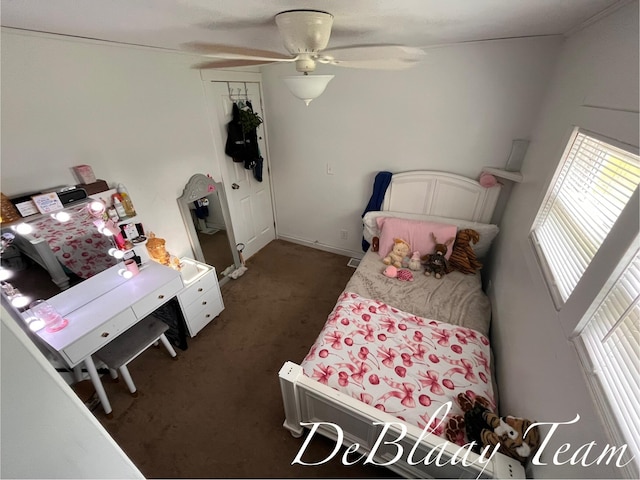 6061 Cutler Rd, Lakeview, MI 48850 - bedroom featuring dark carpet