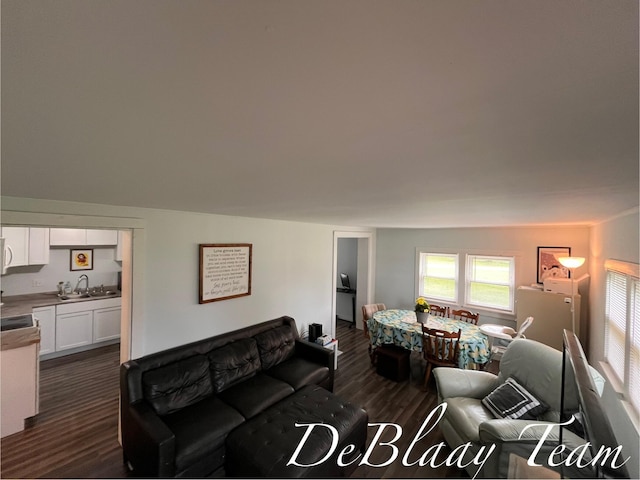 6061 Cutler Rd, Lakeview, MI 48850 - living area with dark wood-style flooring