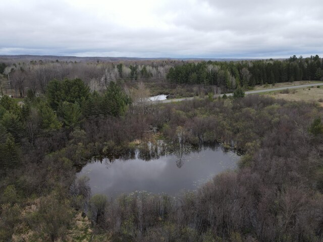 0VL Rose City Rd, Lupton, MI 48635 - photo 7