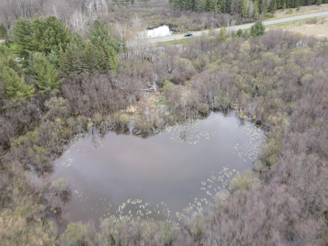 0VL Rose City Rd, Lupton, MI 48635 - photo 8