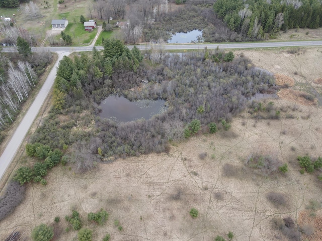 0VL Rose City Rd, Lupton, MI 48635 - photo 6
