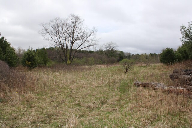 0VL Rose City Rd, Lupton, MI 48635 - photo 11