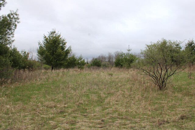 0VL Rose City Rd, Lupton, MI 48635 - photo 12
