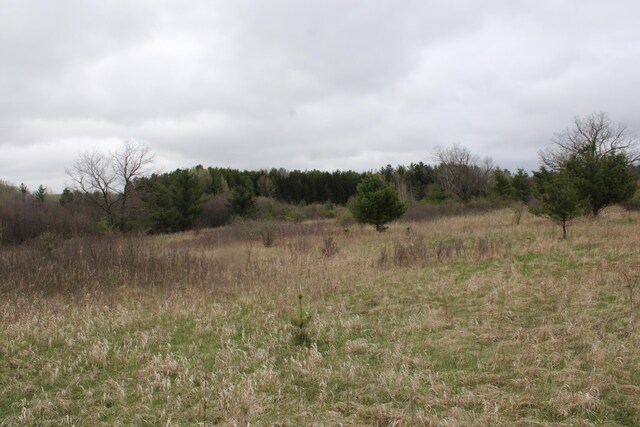 0VL Rose City Rd, Lupton, MI 48635 - photo 13