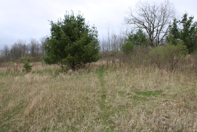 0VL Rose City Rd, Lupton, MI 48635 - photo 14