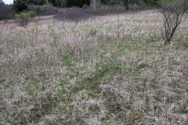 0VL Rose City Rd, Lupton, MI 48635 - photo 15