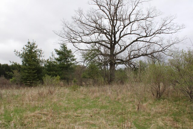 0VL Rose City Rd, Lupton, MI 48635 - photo 16