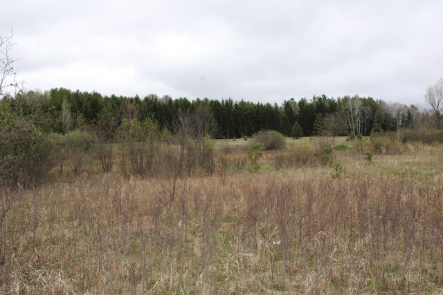 0VL Rose City Rd, Lupton, MI 48635 - photo 17