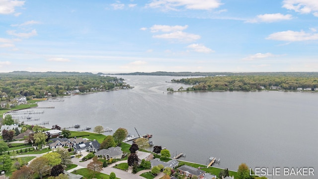 833 Allen Dr, Holland, MI 49423 - view of property location with a nearby body of water