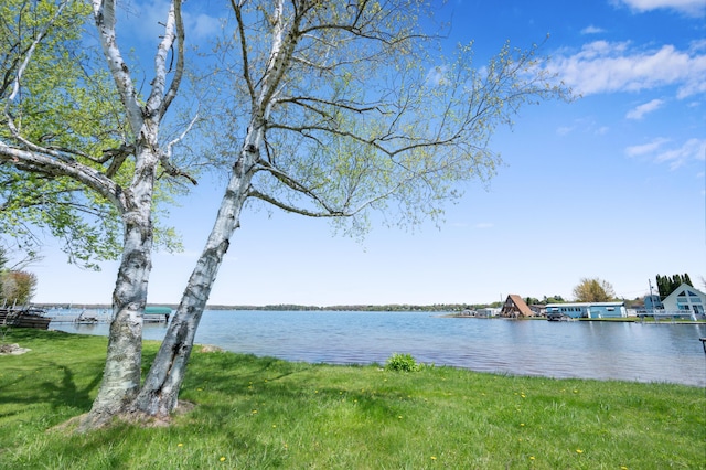 V/L Chippewa Dr, Chippewa Lake, MI 49320