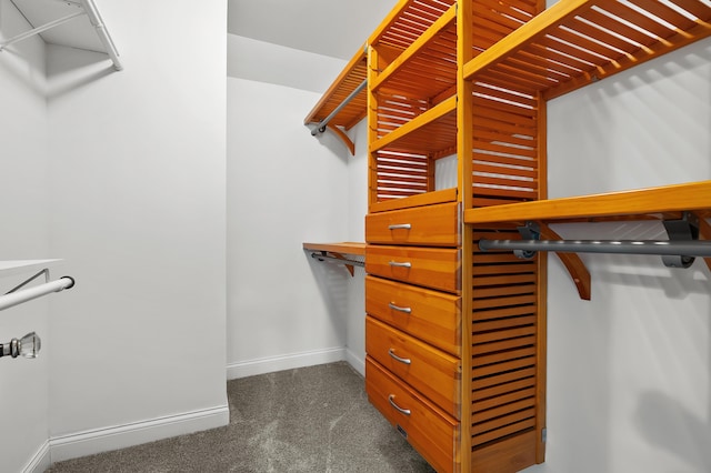 46132 86th Ave, Decatur, MI 49045 - walk in closet with dark carpet