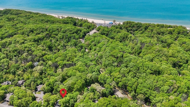 9773 Weko Dr, Bridgman, MI 49106 - bird's eye view of a forest and a large body of water