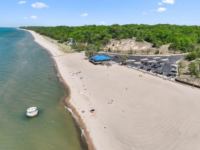 9773 Weko Dr, Bridgman, MI 49106 - bird's eye view of expansive coastline and a heavily wooded area
