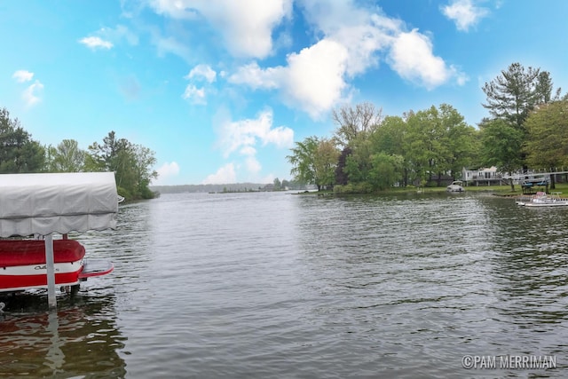 8220 Indian Shores Dr, Howard City, MI 49329 - water view