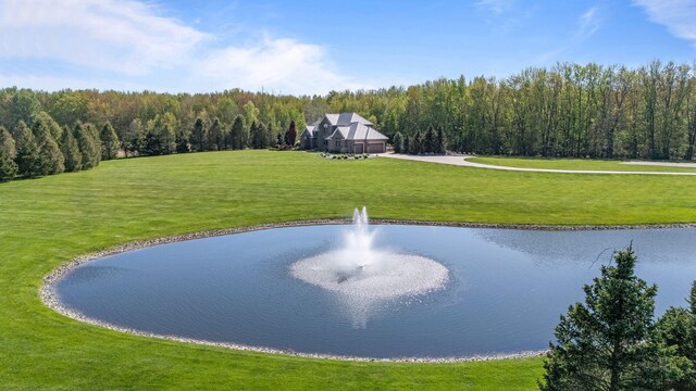 4624 Parman Rd, Stockbridge, MI 49285 - view of property's community with a water view, a yard, and a forest view