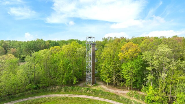 4624 Parman Rd, Stockbridge, MI 49285 - view of property's community featuring a wooded view