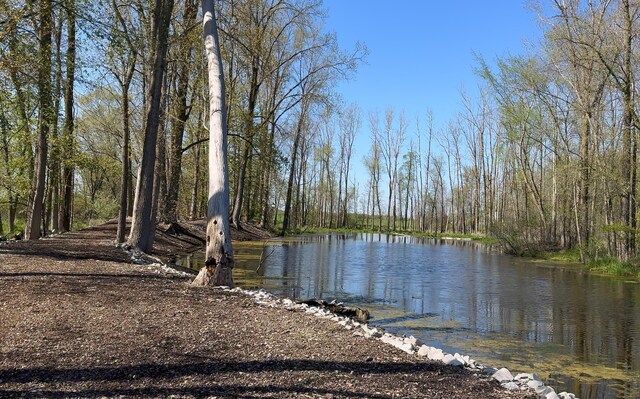 4624 Parman Rd, Stockbridge, MI 49285 - water view with a heavily wooded area