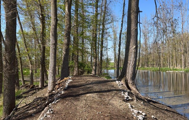 4624 Parman Rd, Stockbridge, MI 49285 - view of road with a water view