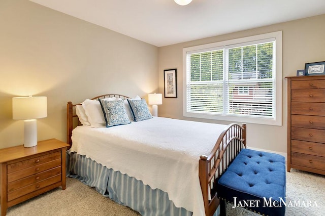 2078 Chippewa Dr Unit 25, Holland, MI 49424 - bedroom with carpet and baseboards