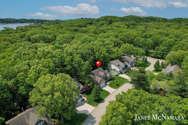 2078 Chippewa Dr Unit 25, Holland, MI 49424 - drone / aerial view of a forest and a large body of water