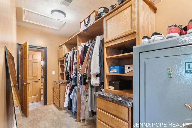 11457 Linden Dr NW, Marne, MI 49435 - photo 52