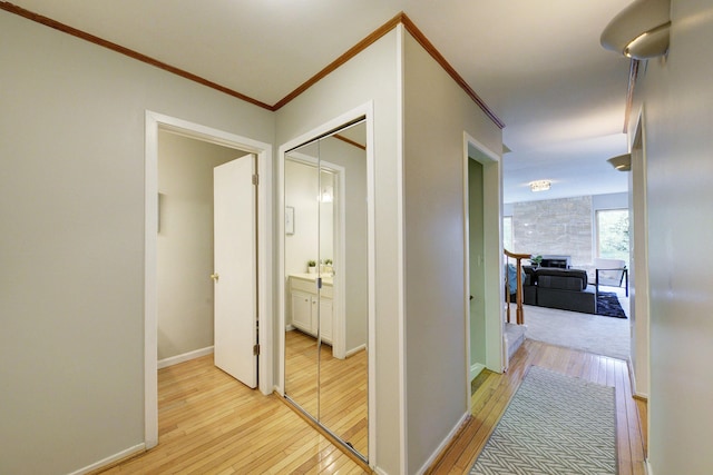 843 Greenhills Dr, Ann Arbor, MI 48105 - hall featuring light wood-style flooring and crown molding