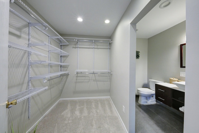 843 Greenhills Dr, Ann Arbor, MI 48105 - view of walk in closet