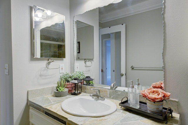843 Greenhills Dr, Ann Arbor, MI 48105 - bathroom with vanity