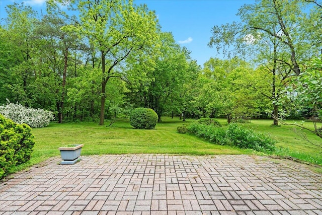 46351 W Main St, Northville, MI 48167 - photo 31