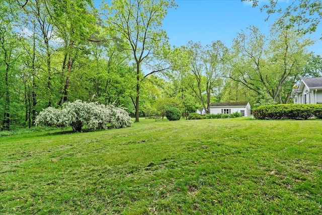 46351 W Main St, Northville, MI 48167 - photo 34