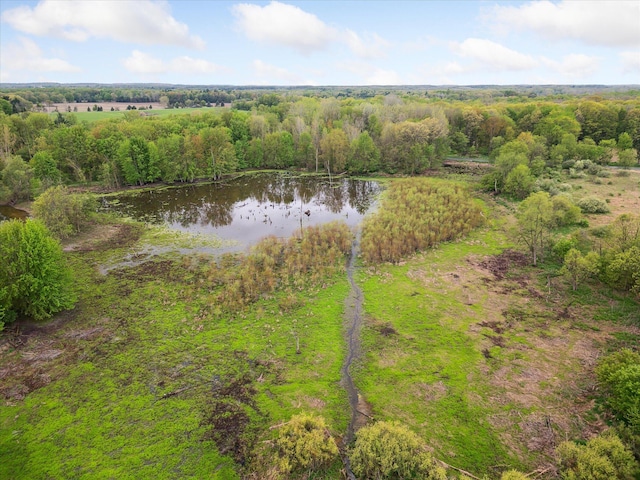 5580 E Snows Lake Rd, Fenwick, MI 48834