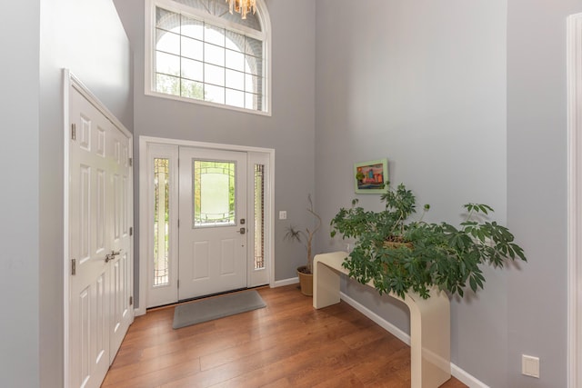 1218 Waterways Dr, Ann Arbor, MI 48108 - entrance foyer with wood finished floors, baseboards, and a towering ceiling