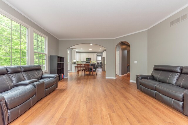 1218 Waterways Dr, Ann Arbor, MI 48108 - living area with arched walkways, light wood finished floors, baseboards, and ornamental molding