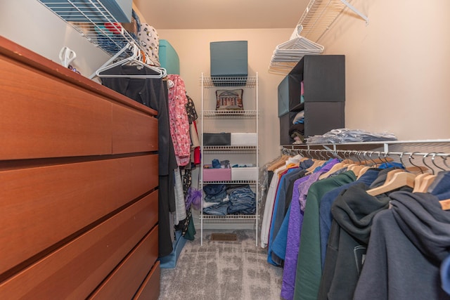 1218 Waterways Dr, Ann Arbor, MI 48108 - walk in closet featuring carpet floors