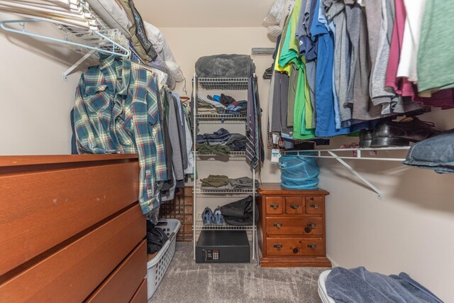 1218 Waterways Dr, Ann Arbor, MI 48108 - walk in closet featuring carpet