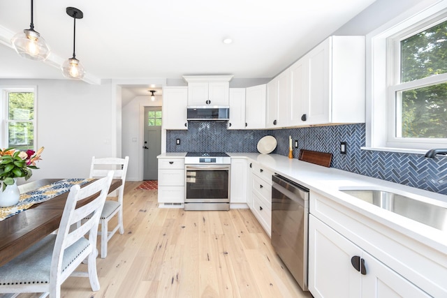 1435 Harpst St, Ann Arbor, MI 48104 - kitchen featuring stainless steel appliances, extractor fan, a sink, light countertops, and plenty of natural light