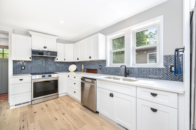 1435 Harpst St, Ann Arbor, MI 48104 - kitchen featuring stainless steel appliances, a sink, extractor fan, light countertops, and tasteful backsplash