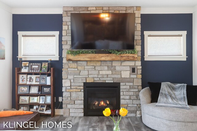 9235 Bigleaf Dr, West Olive, MI 49460 - living room featuring wood finished floors and a fireplace