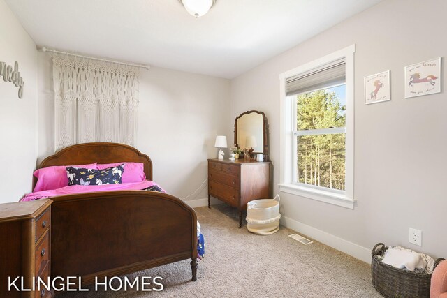 9235 Bigleaf Dr, West Olive, MI 49460 - bedroom with carpet and baseboards